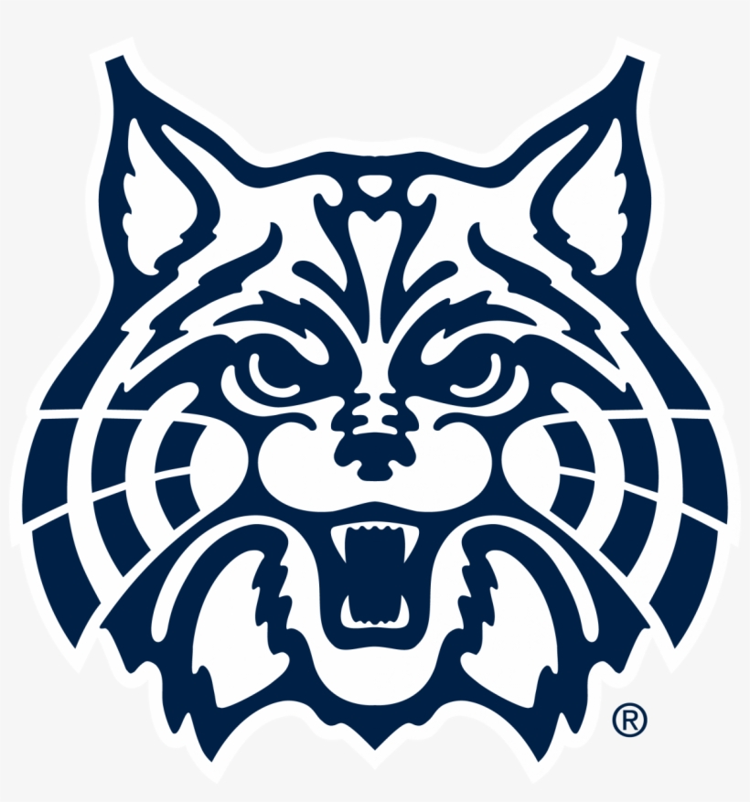 Wildcat Clipart Face - Arizona Wildcat, transparent png #5354026