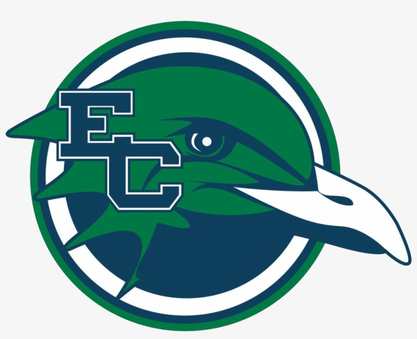 Endicott Softball Scores, Results, Schedule, Roster - Endicott College Athletics, transparent png #5355580