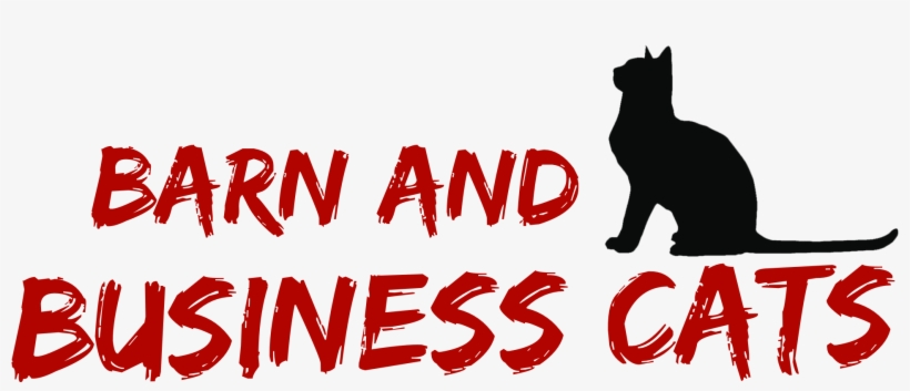 Barn And Business Cats Logo - Slash And Dash 500 (type 3) Paracord, transparent png #5356197