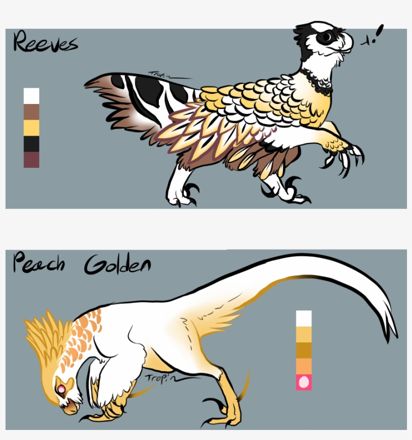 [adopts] Pheasant Raptors Set - Dog Catches Something, transparent png #5361022