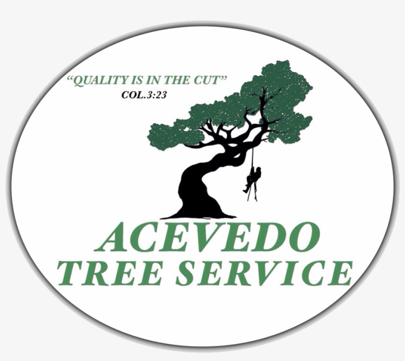 Contact Acevedo Tree - Kensington And Chelsea Review, transparent png #5366003