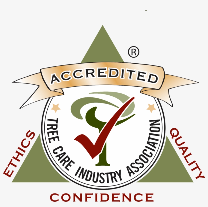 Tcia Accredited, transparent png #5366446