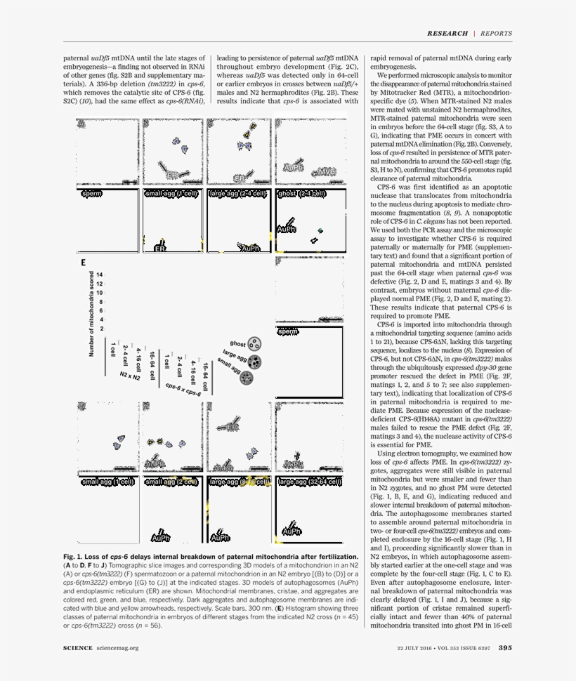 Untitled, Illustration 55, In The Book Les Œuvres Burlesque, transparent png #5368544