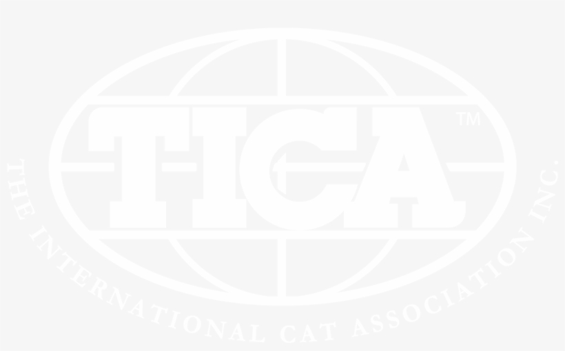 Majesticgems Bengals - International Cat Association, transparent png #5370207