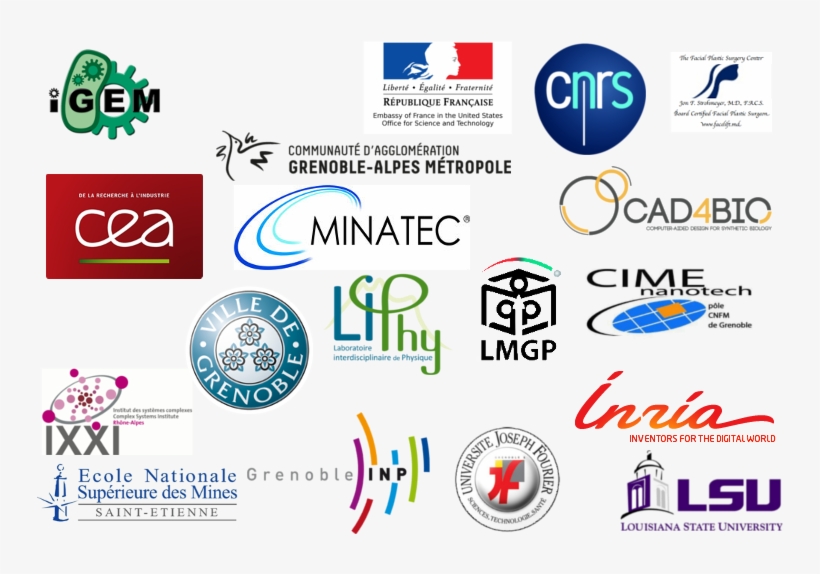 Footer - Page Footer, transparent png #5371641