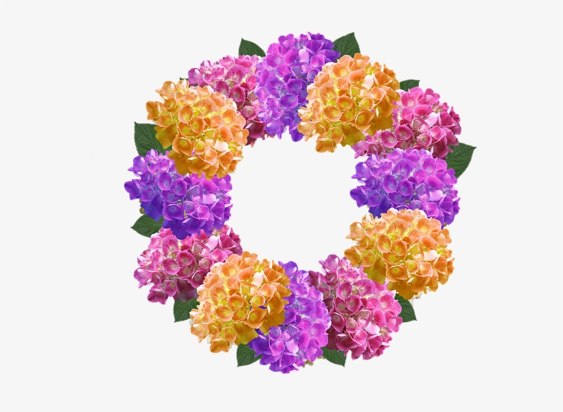Picture Stock Forgetmenot Frames Png Pinterest Crown - Hydrangea Colorful Wreath Summer Floral Monogram Tote, transparent png #5372940