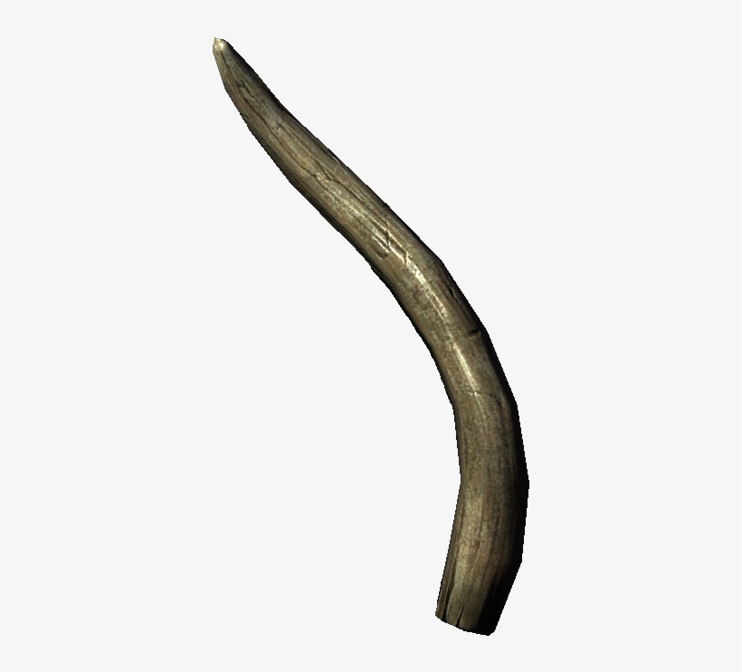 Skyrim Mammoth Tusk, transparent png #5373515