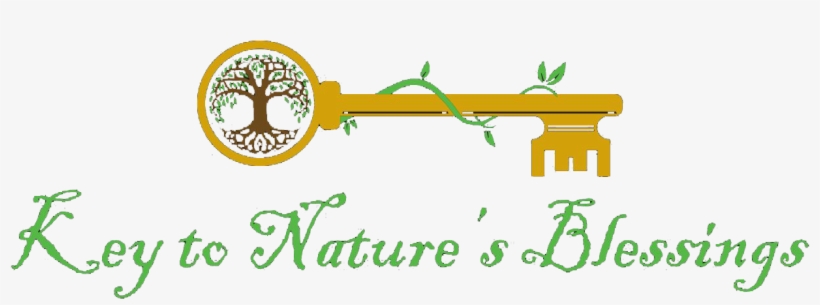 Key To Nature's Blessings - Tim And Ted Nah Rosa Parks Quote Civil Rights Movement, transparent png #5373657