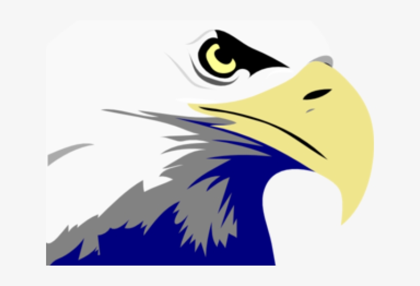 Cartoon Eagle Clipart - Bald Eagle Clipart, transparent png #5374525