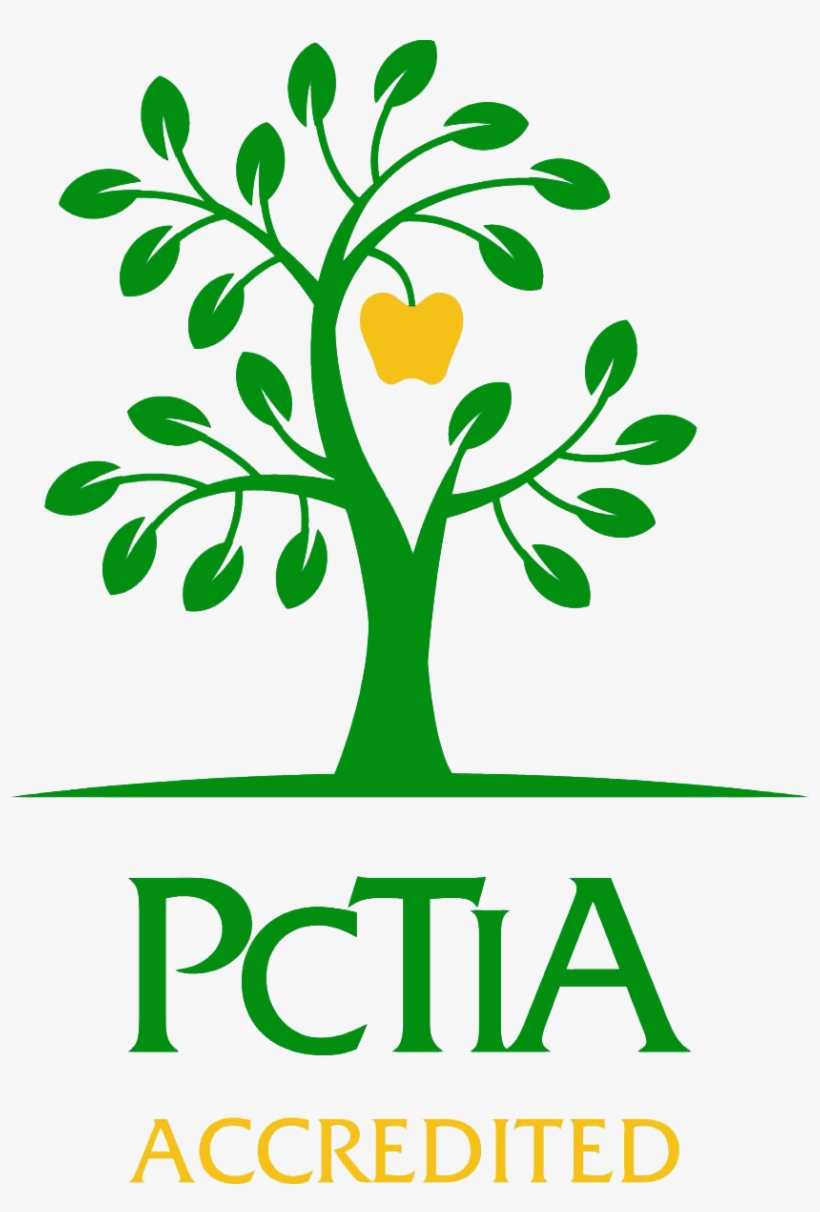 flight clipart study abroad free transparent png download pngkey pngkey