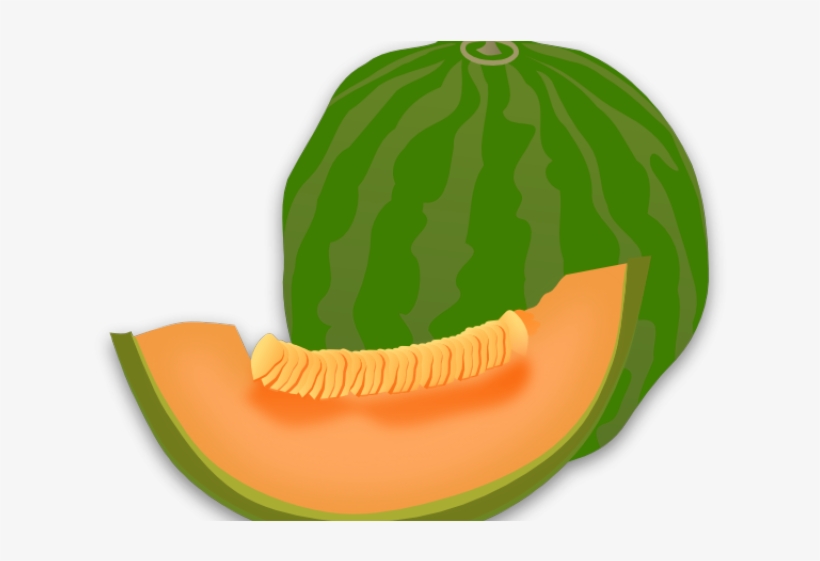 Cantaloupe Clipart Transparent - Clip Art, transparent png #5376324