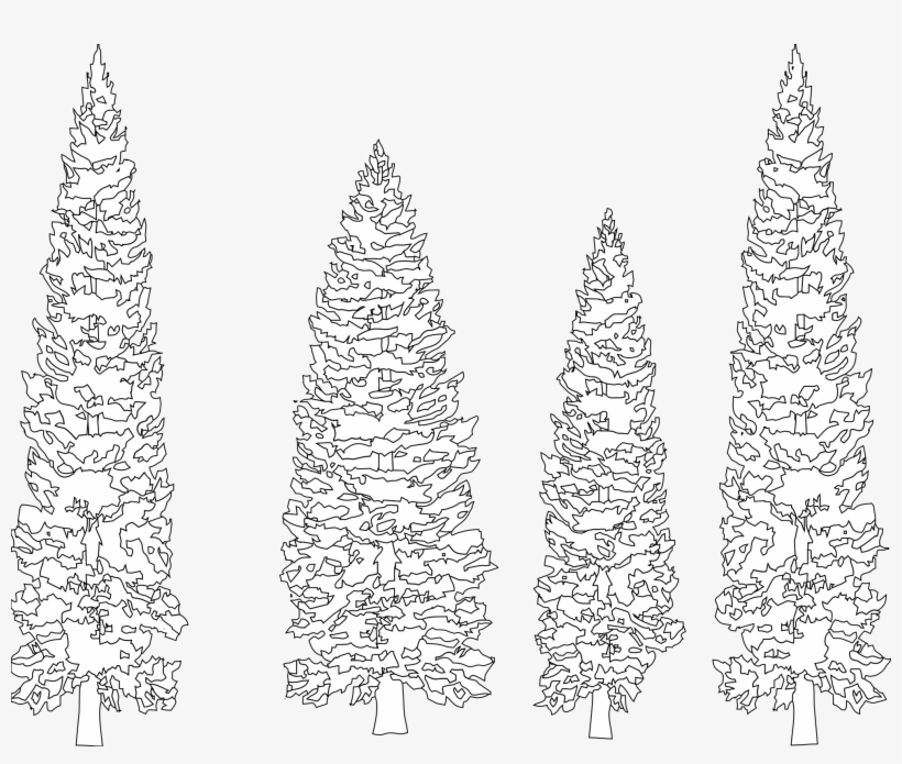 Pine Tree Clipart Coloring - Pine Tree Black Background, transparent png #5378818
