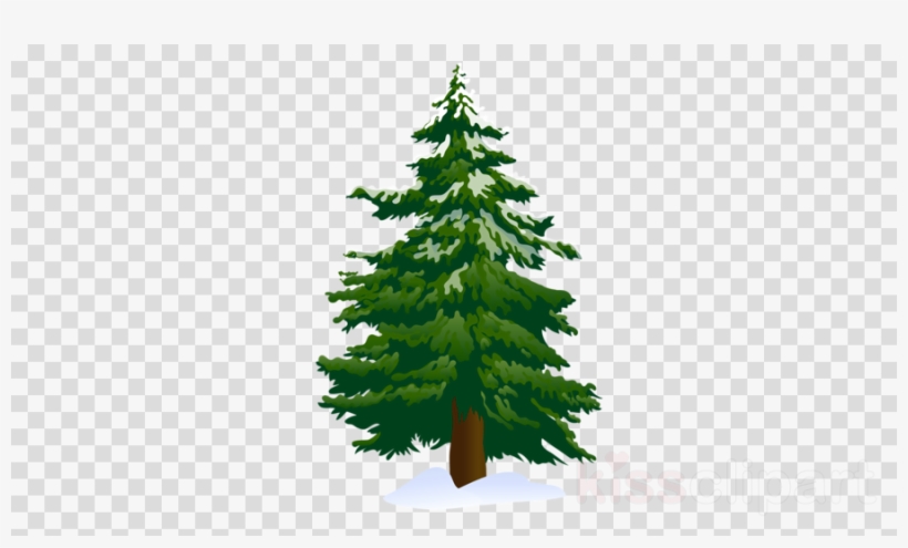 Pine Tree Clipart Scots Pine Conifers Clip Art - Spruce Tree Clip Art, transparent png #5378927