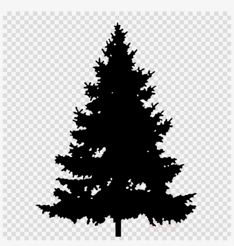 Pine Tree Clipart Pine Clip Art - Green Pine Tree Silhouette, transparent png #5378940