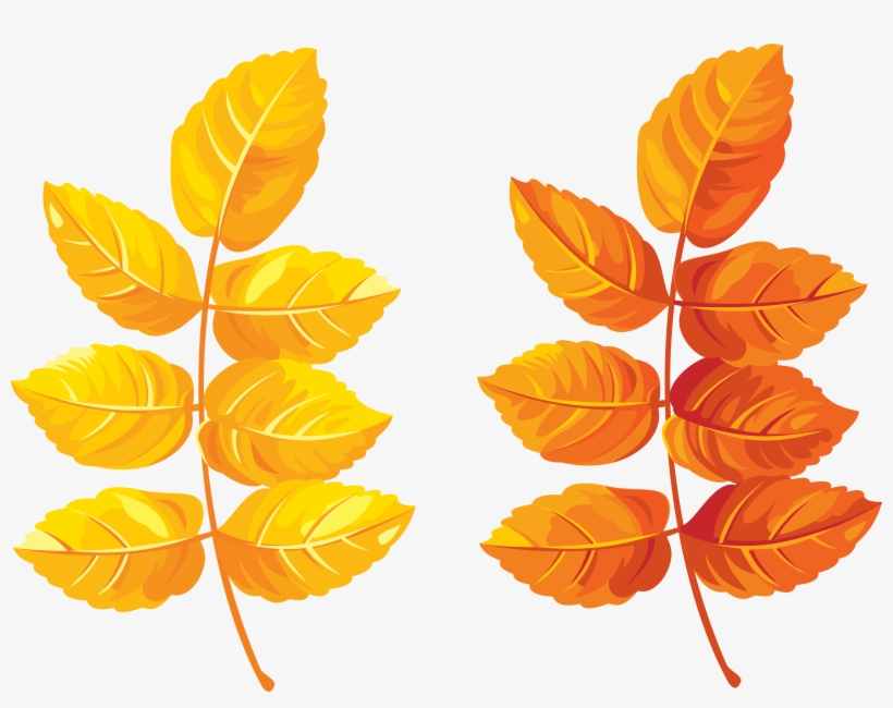 Yellow Leaves Clipart Transparent, transparent png #5380137