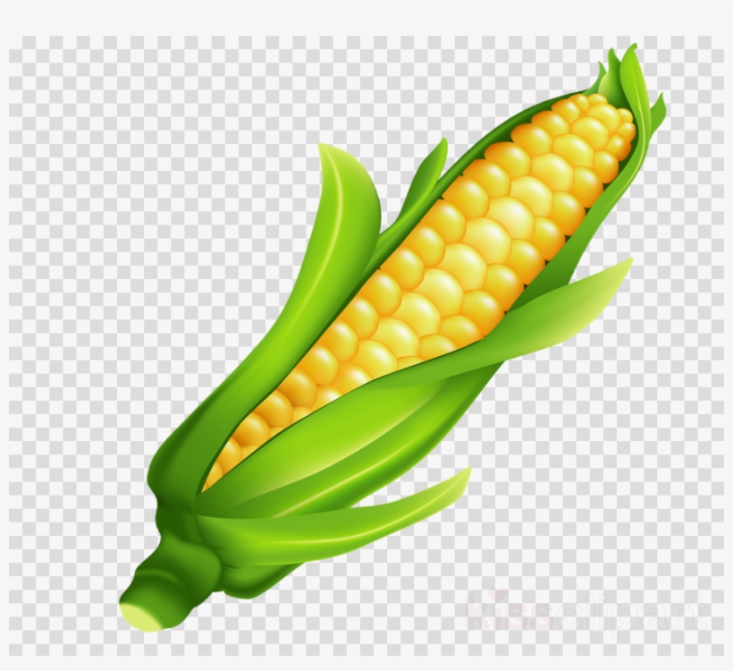 Corns Food Clipart, transparent png #5381010