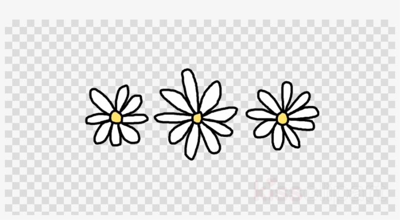 Daisy Tumblr Transparent Clipart Common Daisy Clip - Png Bunga - Free ...