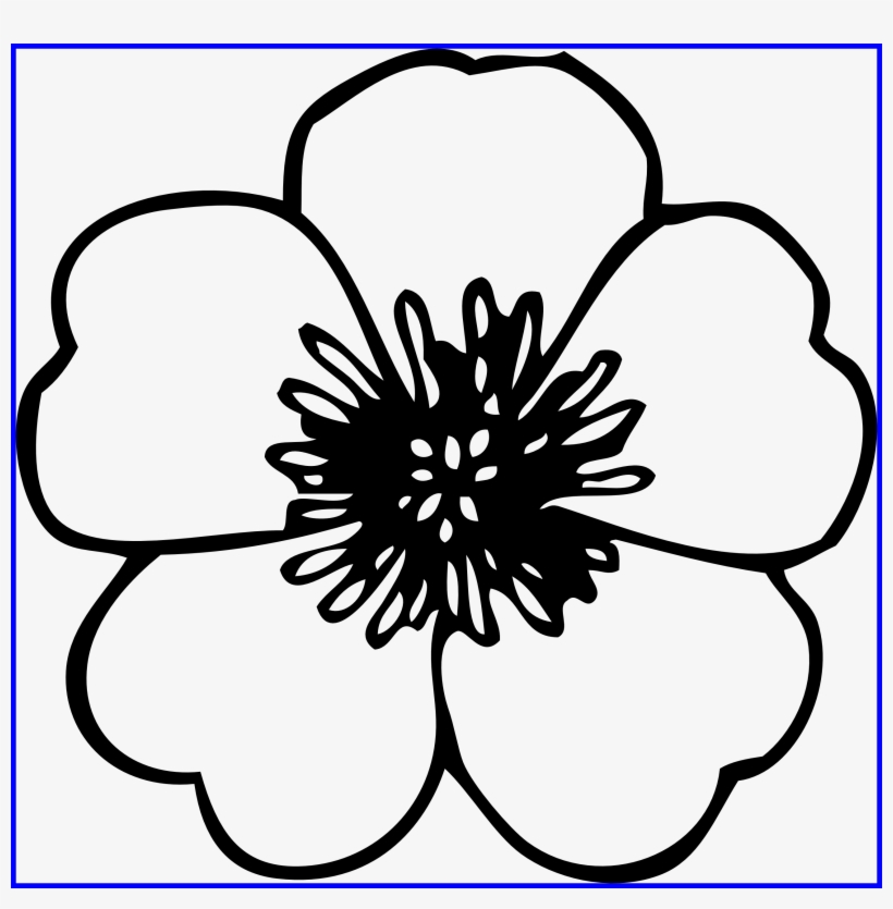 Graphic Free Download Incredible Flower Daisy Clipart - Black And White Cartoon Flowers, transparent png #5381527