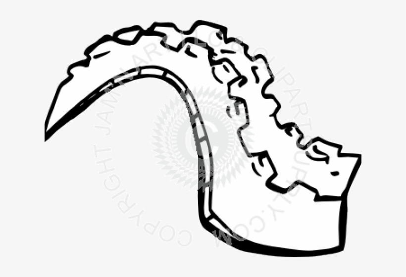 Tail Clipart Alligator - Alligator Tail Clipart Black And White, transparent png #5381992