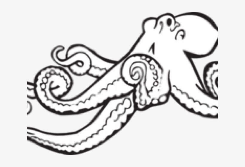 Octopus Clipart Glass - Octopus Drawing Black And White, transparent png #5382081
