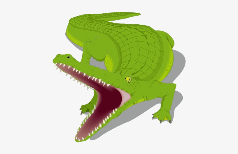 Banner Freeuse Library Honey Island Alligator Crocodile - Alligator Clip Art, transparent png #5383836