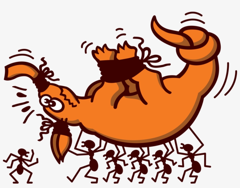 Ants Carrying An Projectools - 4 Bilder 1 Wort 2231, transparent png #5386386