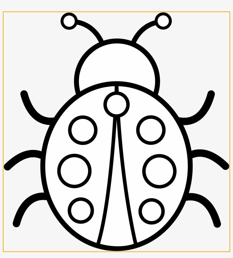Graphic Library Library The Best Colorable Ladybug - Colouring Pictures Of A Bug, transparent png #5386488