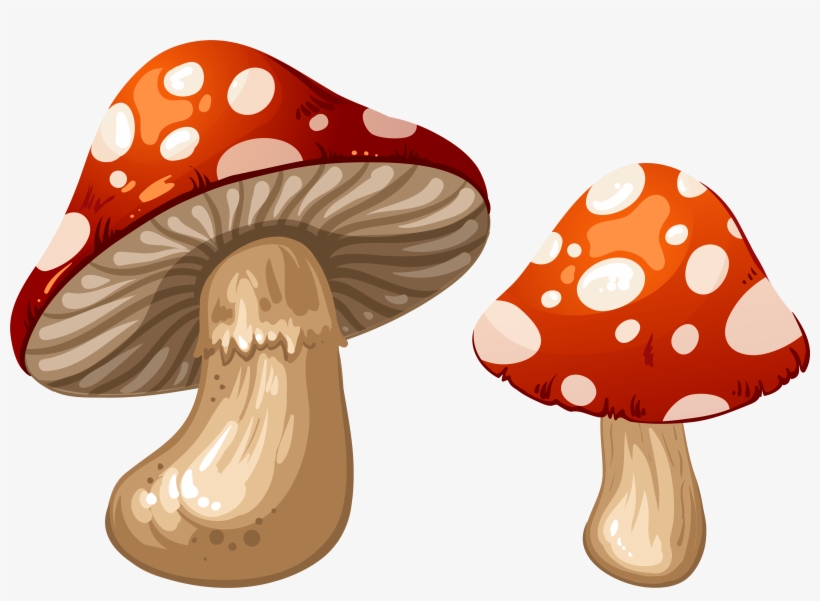 Mushrooms Png Clip Art - Clip Art, transparent png #5387526