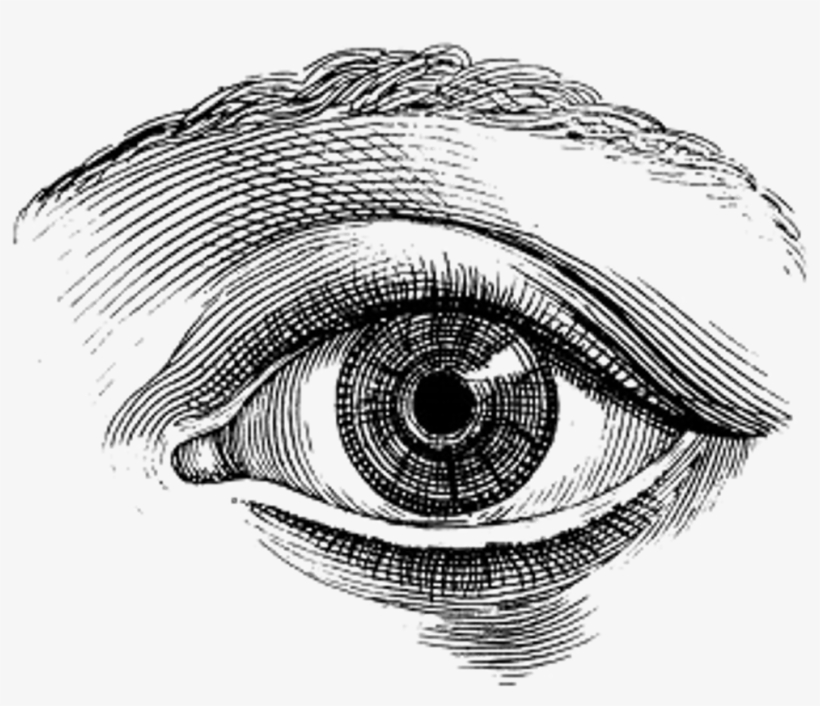 Eye Vintage Illustration, transparent png #5387895