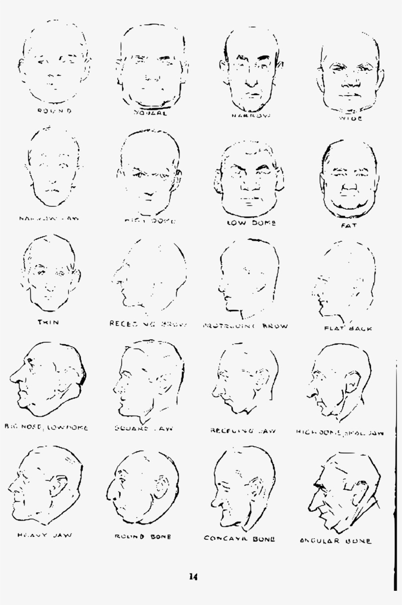 This Free Icons Png Design Of Andrew Loomis Drawing, transparent png #5389338