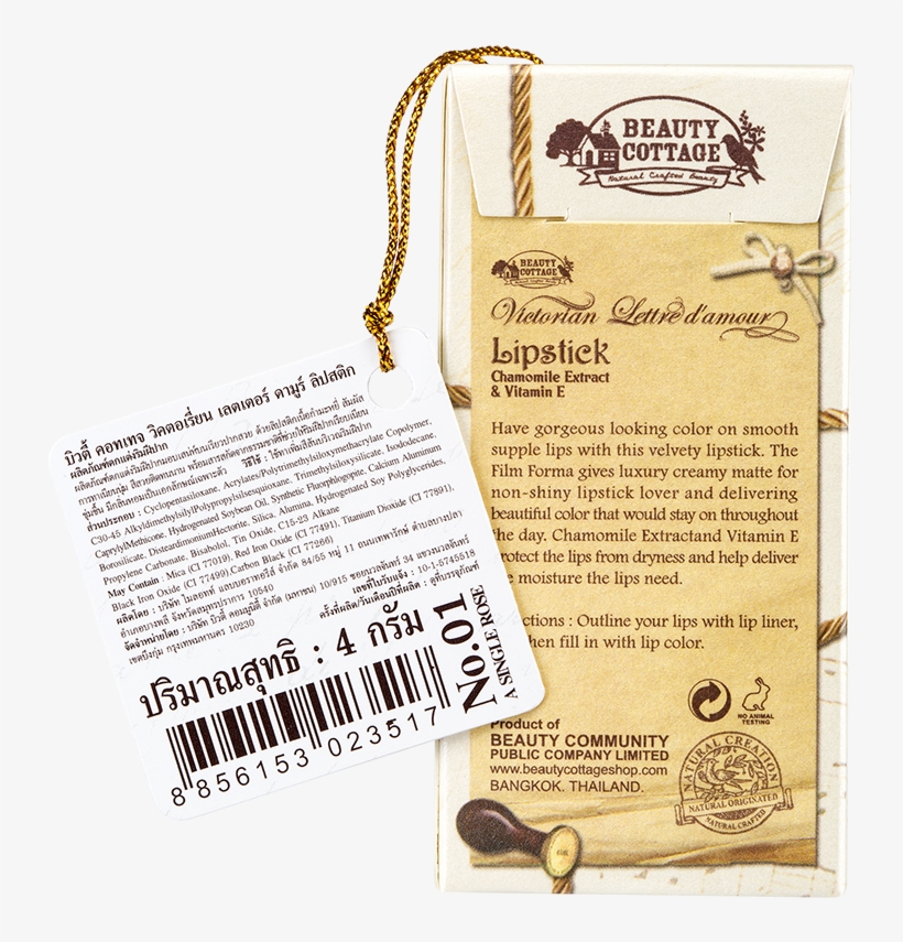 Standard - Document, transparent png #5391163
