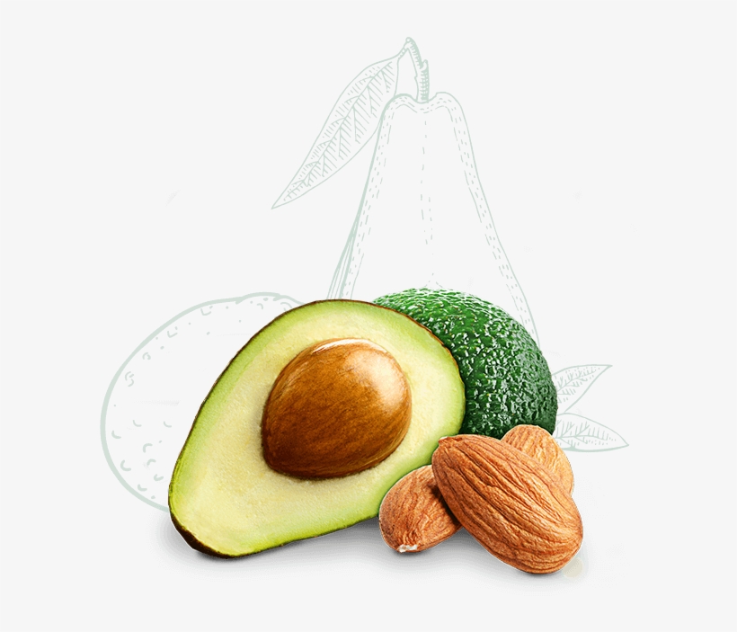 Bestandteile, transparent png #5397789
