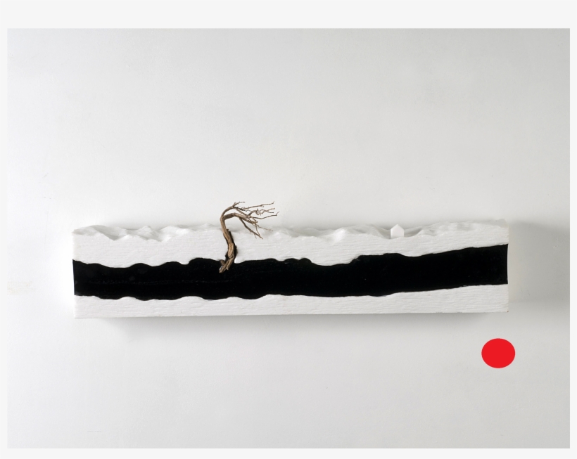 Magma ” / 1547 Carmen Baena - Bald Eagle, transparent png #5399596