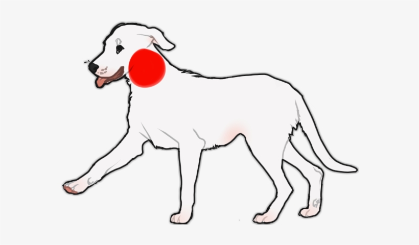 Any Scars Must Be Flesh Colored, And Semi Realistic - Ancient Dog Breeds, transparent png #540406