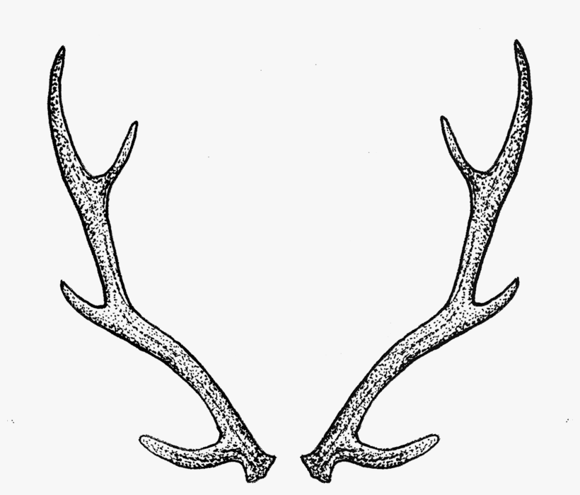 Antlers - Deer Horns Tattoo, transparent png #540521