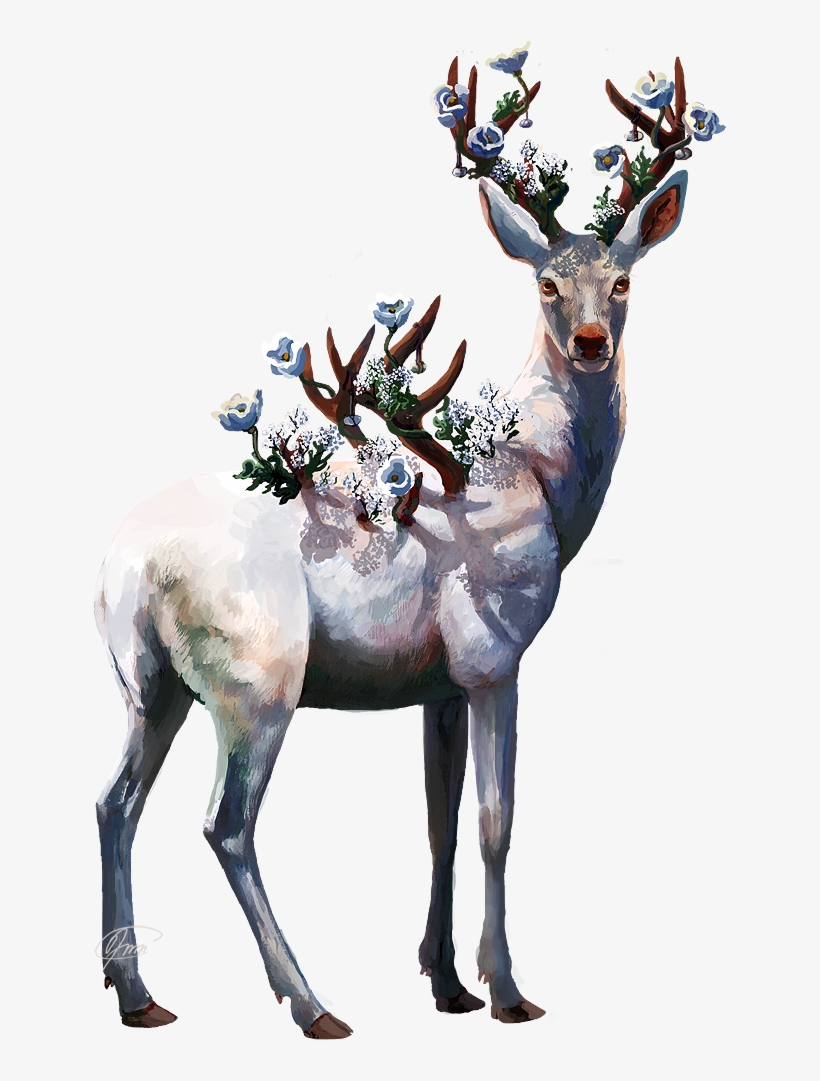 Drawing Antlers Deer Antler - Ciervo Vector, transparent png #540572