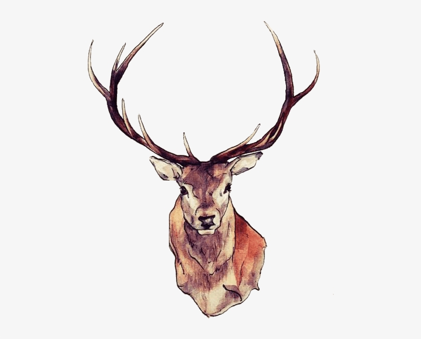 Deer Face - Deer Temporary Tattoos Tattoo Sticker, transparent png #540641