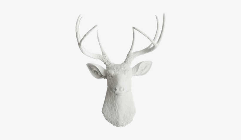 27 - White Faux Taxidermy White Deer Head Wall Mount, transparent png #540891