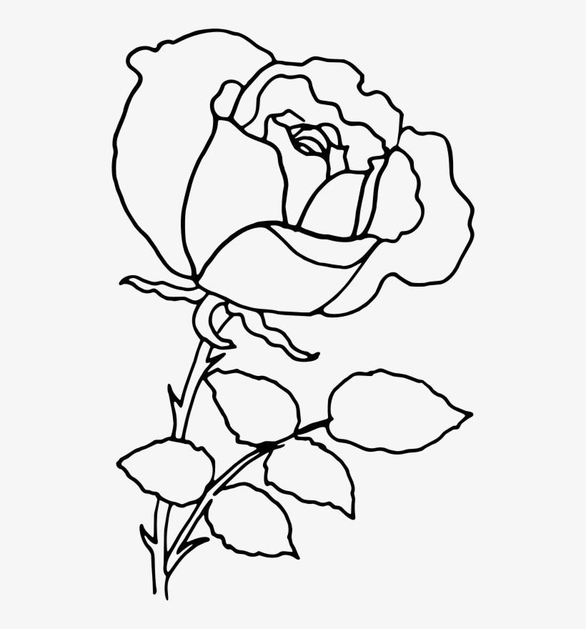 Medium Image - Rose Line Drawing Png, transparent png #540940