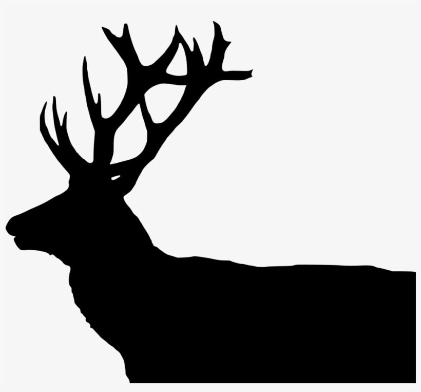 Download Png - Deer, transparent png #541317