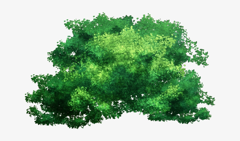 Tree Top Png Png - Jungle Terrain Wargaming, transparent png #541433
