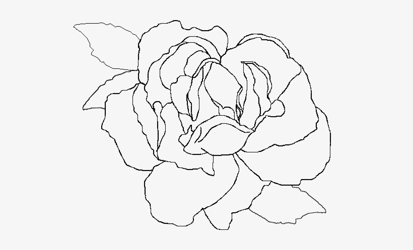Stb Digital Painting Lesson 5 Digital Painted Rose - Painting, transparent png #541504