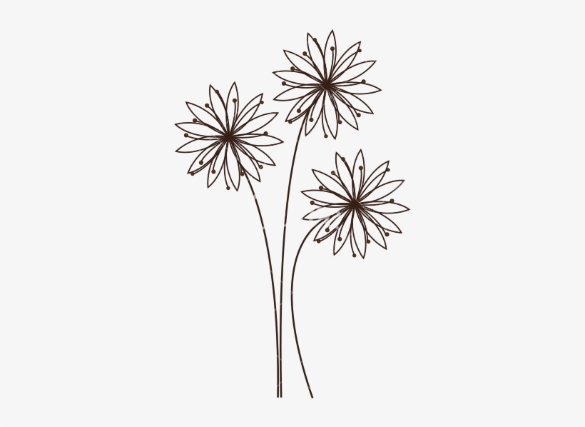 Daisy Outline Png - Flower Outline Line Transparent, transparent png #541522