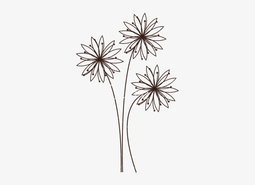 Daisy Outline Png Flower Outline Line Transparent Free Transparent Png Download Pngkey