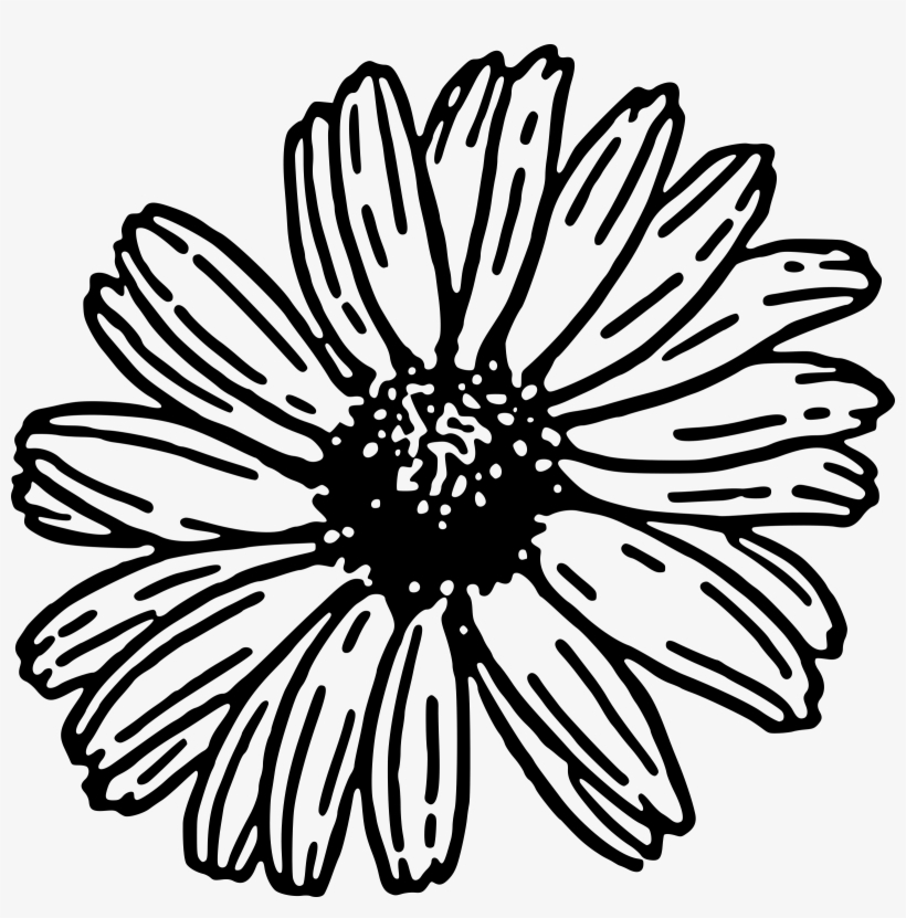 Daisy Clip Art - Gerbera Daisy Clipart Black And White, transparent png #541525
