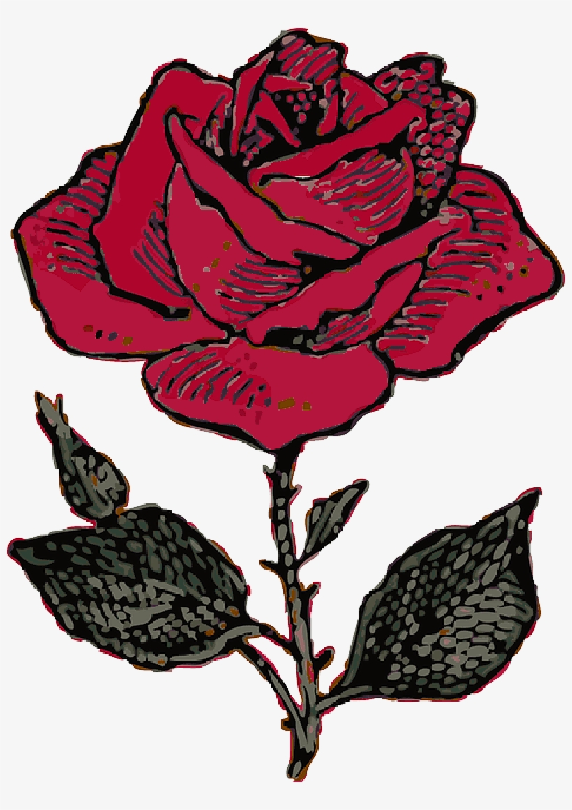 Mb Image/png - Rose Illustration, transparent png #541592