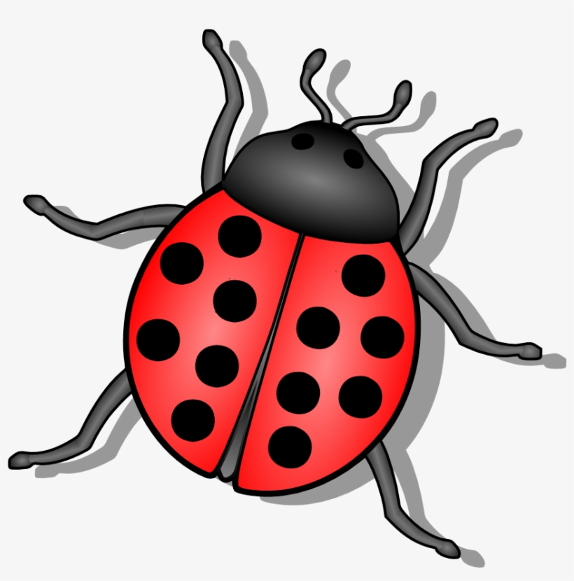 Lady Bug Svg Clip Arts 600 X 579 Px, transparent png #541736