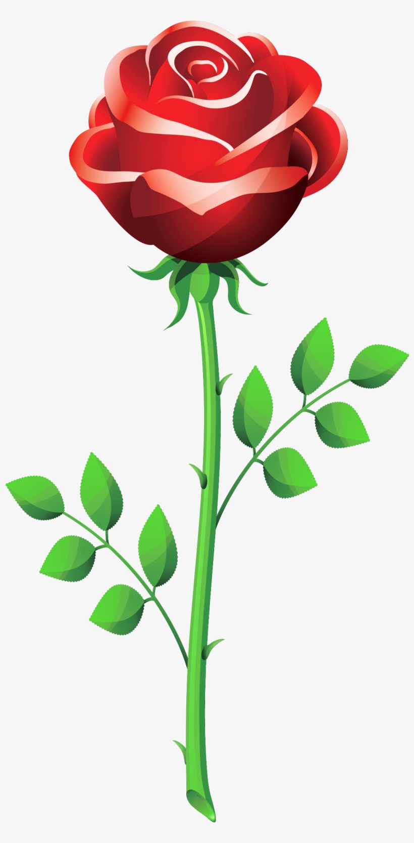 Rose Outline Clipart Panda - Rose Flower Vector Png, transparent png #541830