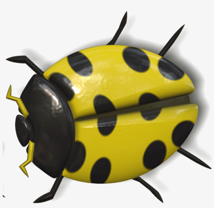 Animals - Yellow Ladybug Png, transparent png #541878