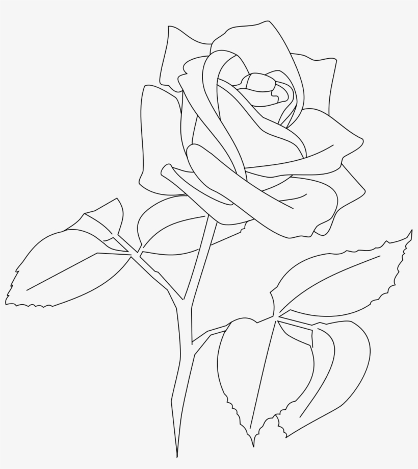 Rose Rose Outline Png - Ryuko Matoi, transparent png #542006